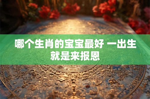 哪个生肖的宝宝最好 一出生就是来报恩