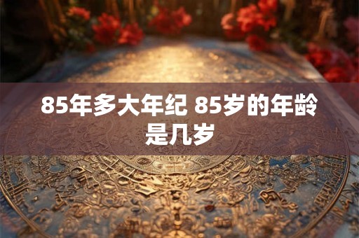 85年多大年纪 85岁的年龄是几岁