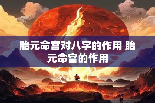 胎元命宫对八字的作用 胎元命宫的作用