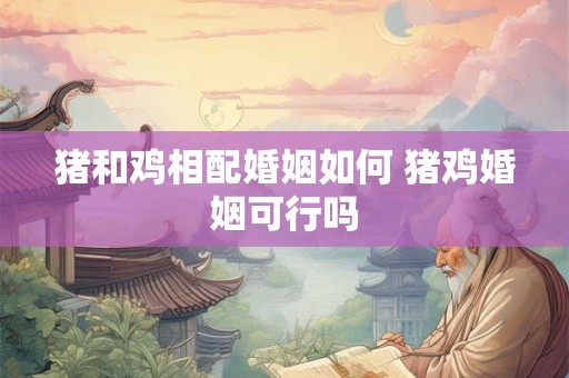 猪和鸡相配婚姻如何 猪鸡婚姻可行吗