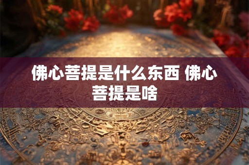 佛心菩提是什么东西 佛心菩提是啥