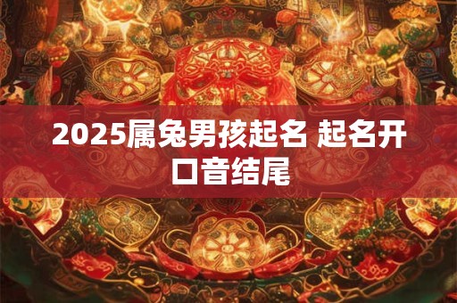 2025属兔男孩起名 起名开口音结尾
