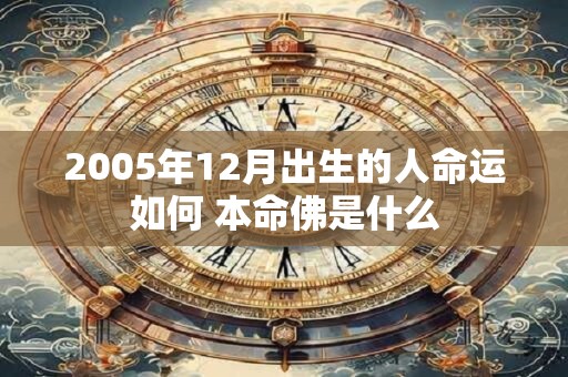 2005年12月出生的人命运如何 本命佛是什么