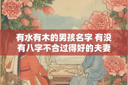 有水有木的男孩名字 有没有八字不合过得好的夫妻