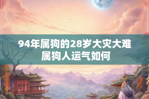 94年属狗的28岁大灾大难 属狗人运气如何