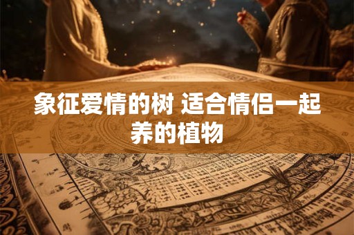 象征爱情的树 适合情侣一起养的植物