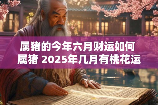 属猪的今年六月财运如何 属猪 2025年几月有桃花运
