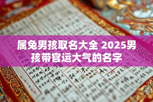 属兔男孩取名大全 2025男孩带官运大气的名字
