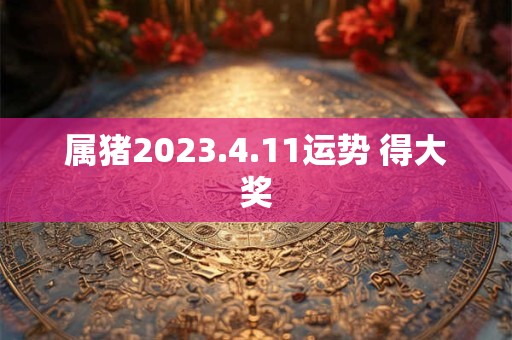 属猪2023.4.11运势 得大奖