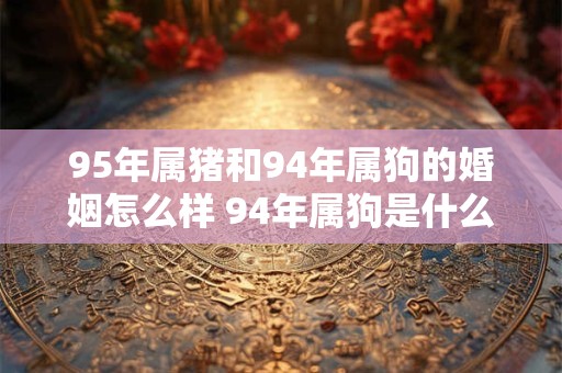 95年属猪和94年属狗的婚姻怎么样 94年属狗是什么命