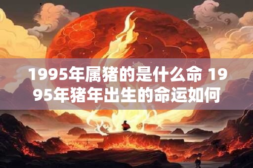 1995年属猪的是什么命 1995年猪年出生的命运如何