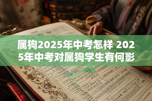属狗2025年中考怎样 2025年中考对属狗学生有何影响
