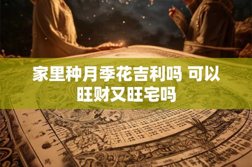 家里种月季花吉利吗 可以旺财又旺宅吗