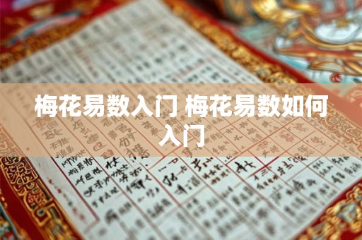 梅花易数入门 梅花易数如何入门 梅花易数入门 梅花易数如何入门
