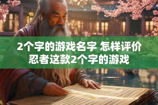 2个字的游戏名字 怎样评价忍者这款2个字的游戏