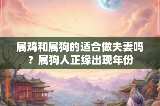 属鸡和属狗的适合做夫妻吗？属狗人正缘出现年份