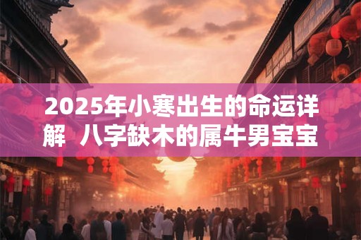 2025年小寒出生的命运详解  八字缺木的属牛男宝宝起名