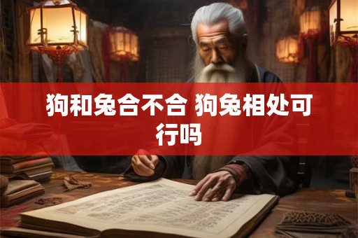 狗和兔合不合 狗兔相处可行吗