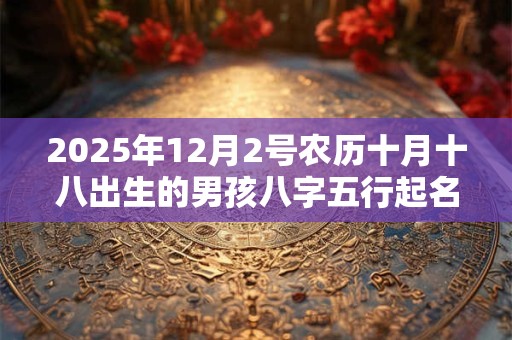 2025年12月2号农历十月十八出生的男孩八字五行起名字