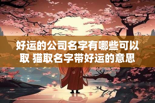 好运的公司名字有哪些可以取 猫取名字带好运的意思 好运的公司名字有哪些可以取 猫取名字带好运的意思