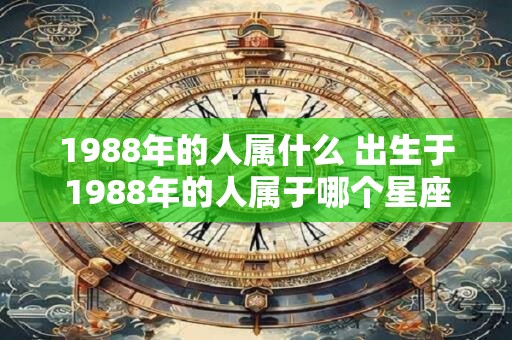 1988年的人属什么 出生于1988年的人属于哪个星座