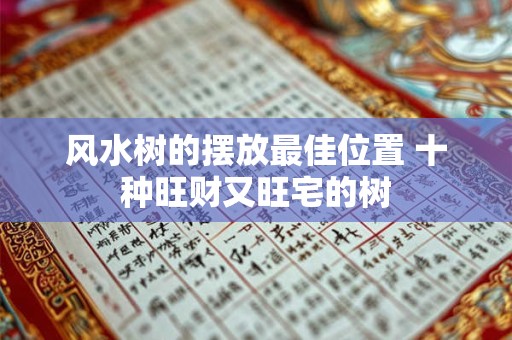风水树的摆放最佳位置 十种旺财又旺宅的树