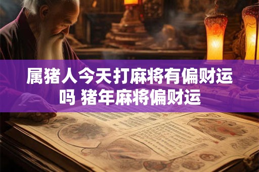 属猪人今天打麻将有偏财运吗 猪年麻将偏财运