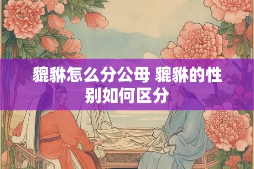 貔貅怎么分公母 貔貅的性别如何区分 貔貅怎么分公母 貔貅的性别如何区分