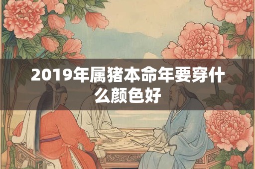 2019年属猪本命年要穿什么颜色好