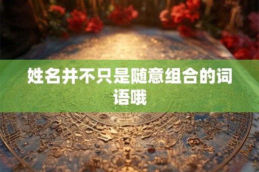 姓名并不只是随意组合的词语哦 姓名并不只是随意组合的词语哦
