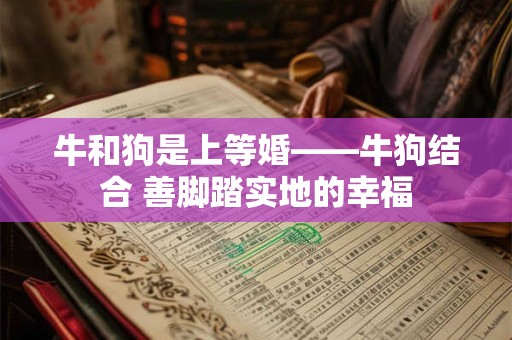 牛和狗是上等婚——牛狗结合 善脚踏实地的幸福