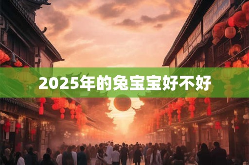 2025年的兔宝宝好不好