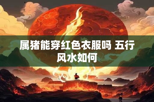 属猪能穿红色衣服吗 五行风水如何