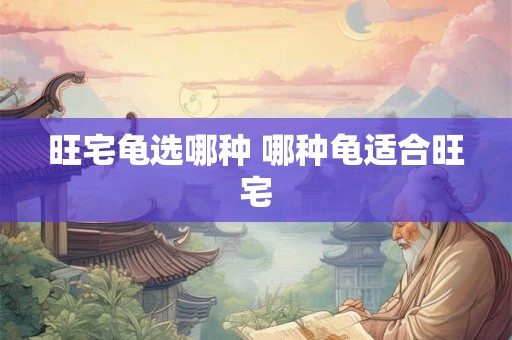 旺宅龟选哪种 哪种龟适合旺宅