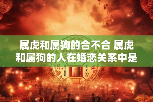 属虎和属狗的合不合 属虎和属狗的人在婚恋关系中是否相配