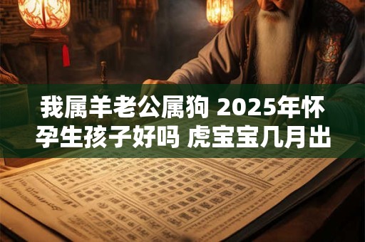 我属羊老公属狗 2025年怀孕生孩子好吗 虎宝宝几月出生好