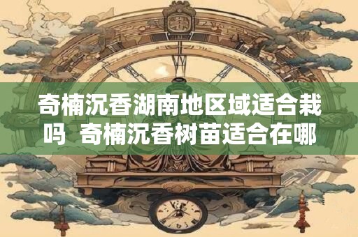 奇楠沉香湖南地区域适合栽吗  奇楠沉香树苗适合在哪里种植