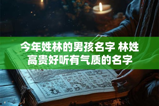 今年姓林的男孩名字 林姓高贵好听有气质的名字