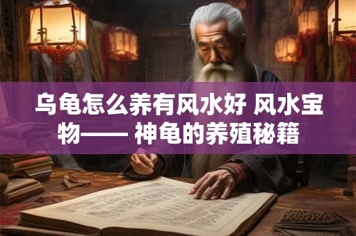 乌龟怎么养有风水好 风水宝物—— 神龟的养殖秘籍