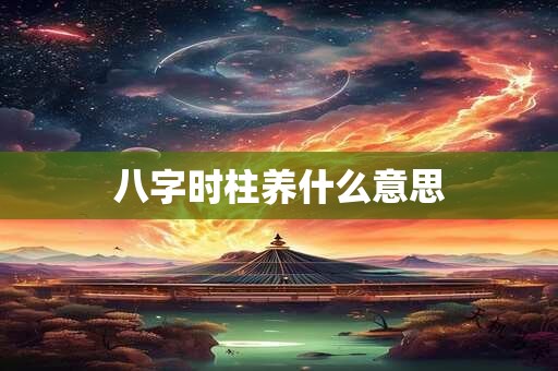 八字时柱养什么意思