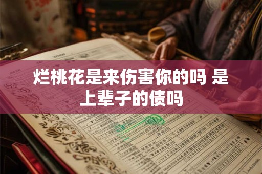 烂桃花是来伤害你的吗 是上辈子的债吗
