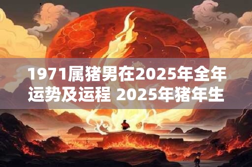 1971属猪男在2026年全年运势及运程 2026年猪年生肖男运势如何对1971年出生的人有何影响