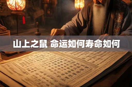 山上之鼠 命运如何寿命如何