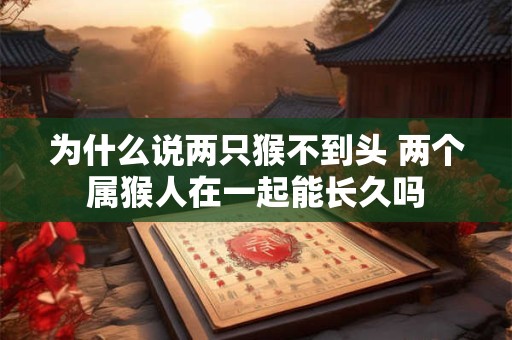 为什么说两只猴不到头 两个属猴人在一起能长久吗