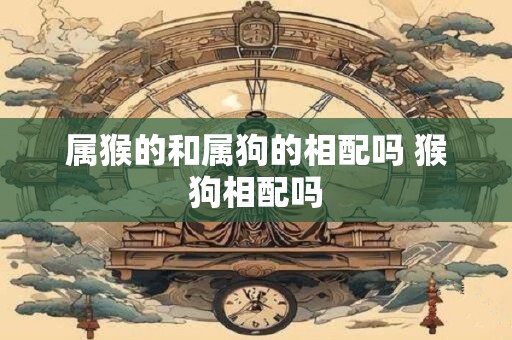 属猴的和属狗的相配吗 猴狗相配吗