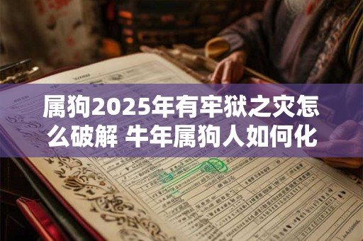 属狗2026年有牢狱之灾怎么破解 牛年属狗人如何化解灾难