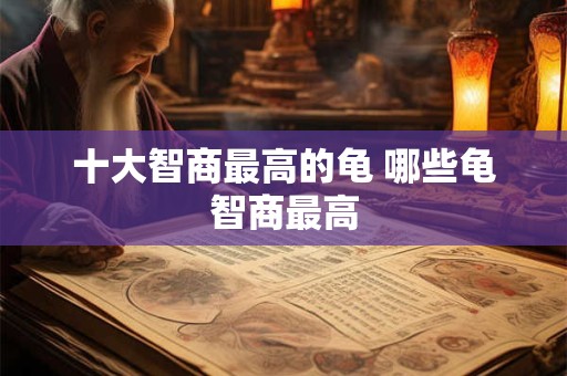 十大智商最高的龟 哪些龟智商最高