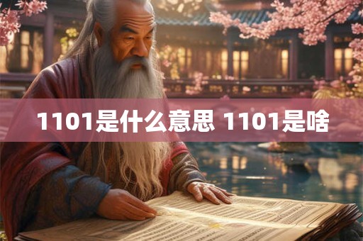 1101是什么意思 1101是啥 1101是什么意思 1101是啥