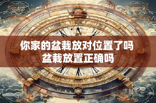 你家的盆栽放对位置了吗 盆栽放置正确吗
