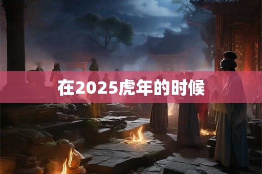 在2025虎年的时候